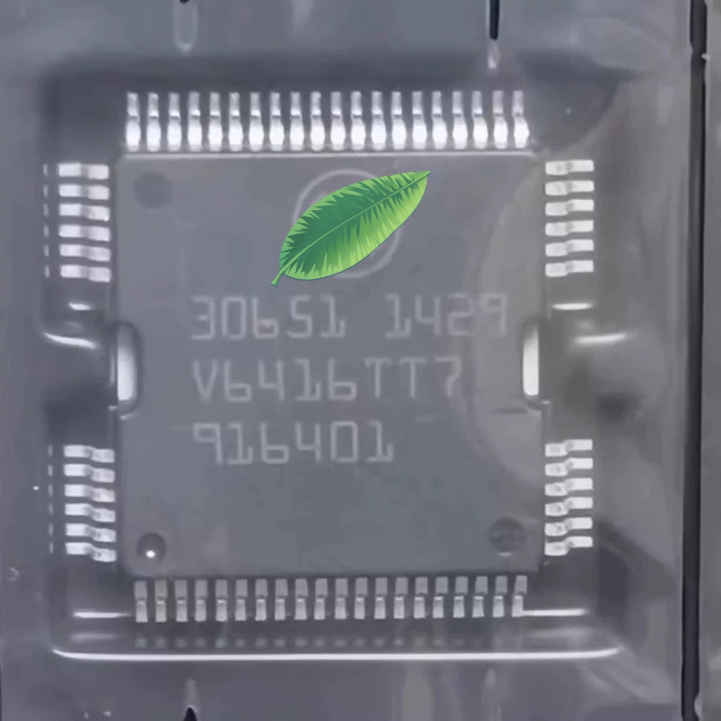 30651 Automotive Body & Engine ECU Fuel Injector Driver Module Chip